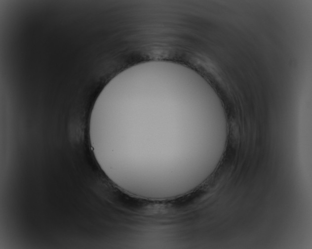 X0000090620499200707171105