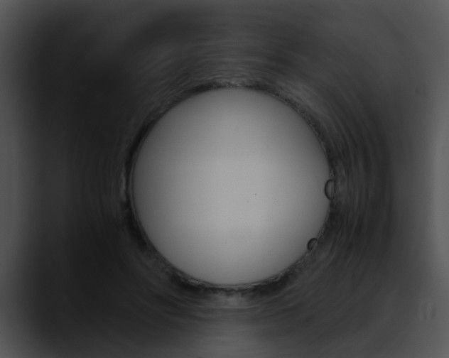 X0000090620502200707171105
