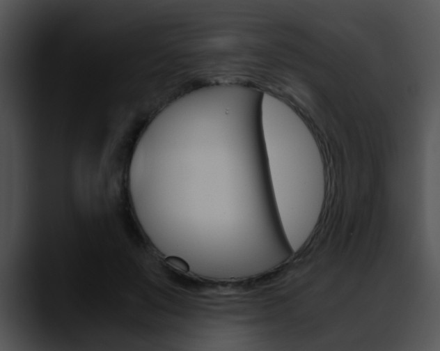 X0000090620503200707171105