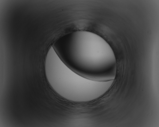 X0000090620505200707171105