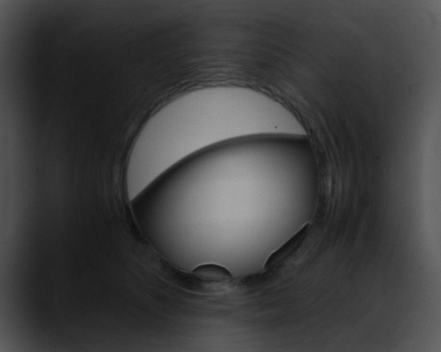 X0000090620516200707171105