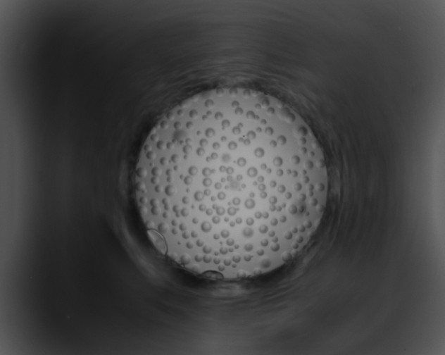 X0000090620519200707171105