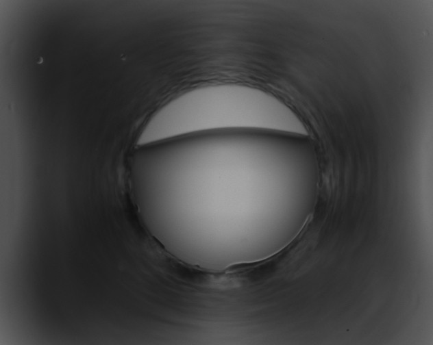 X0000090620520200707171105