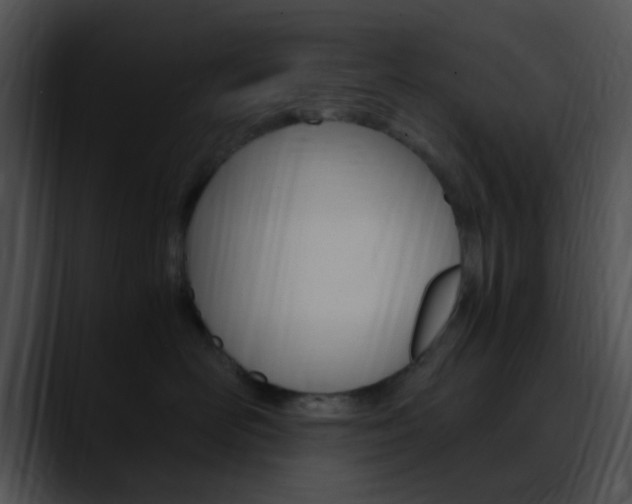 X0000090620526200707171105