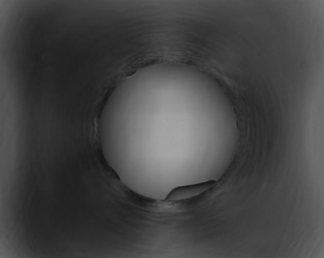 X0000090620528200707171105