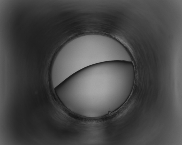 X0000090620533200707171104