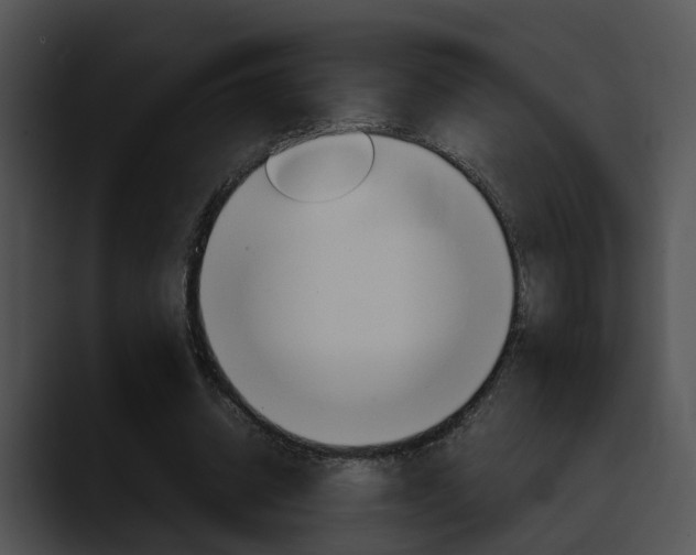 X0000090620534200707171104