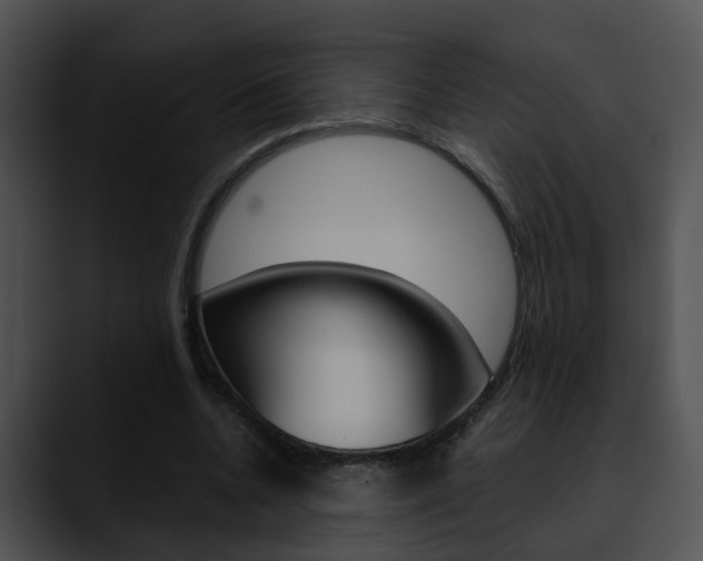 X0000090620536200707171104