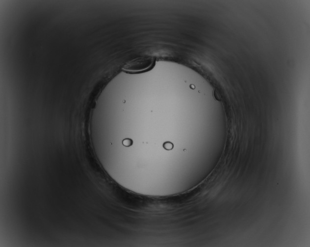 X0000090620547200707171104