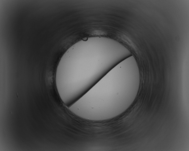 X0000090620549200707171104