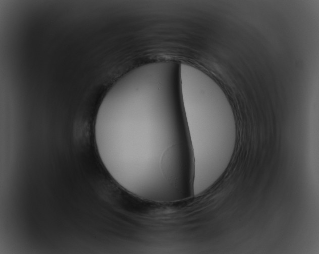 X0000090620551200707171104