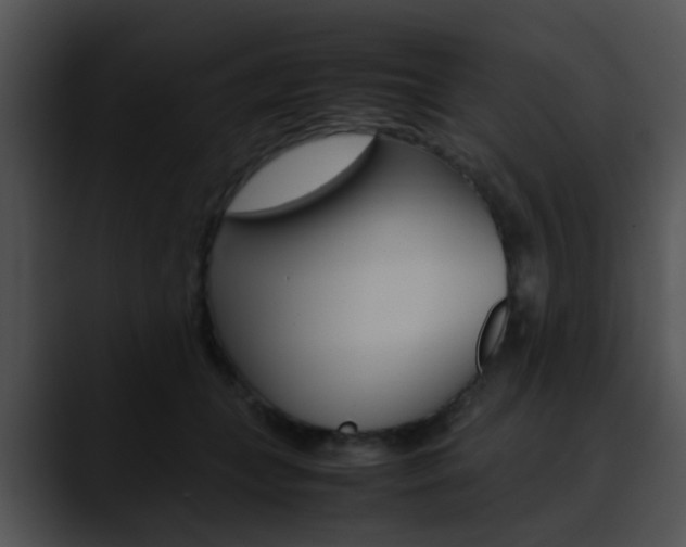 X0000090620559200707171104