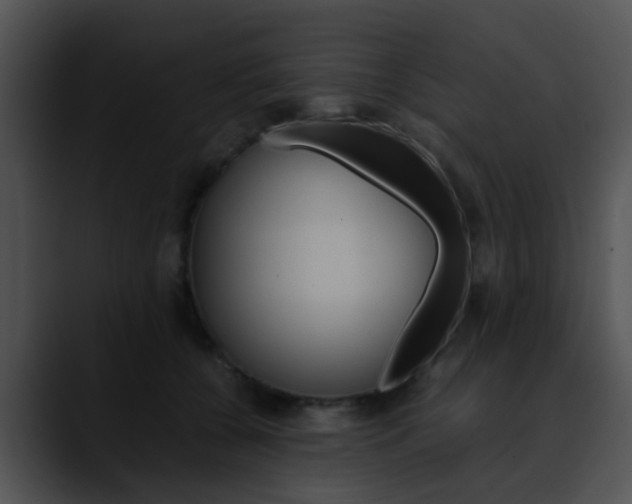 X0000090620560200707171104
