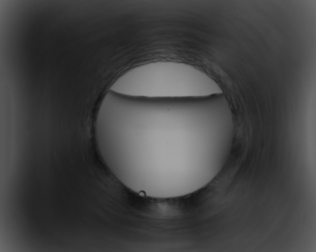 X0000090620565200707171104