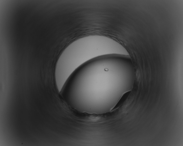 X0000090620570200707171104