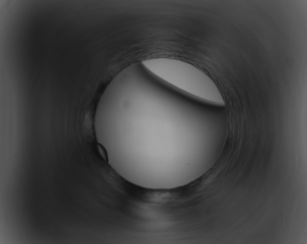 X0000090620575200707171105