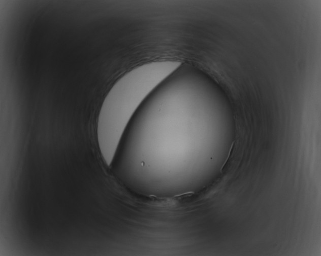 X0000090620576200707171105