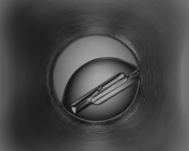 X0000090620581200707171104