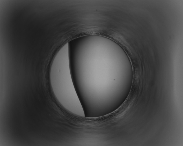 X0000090620585200707171104