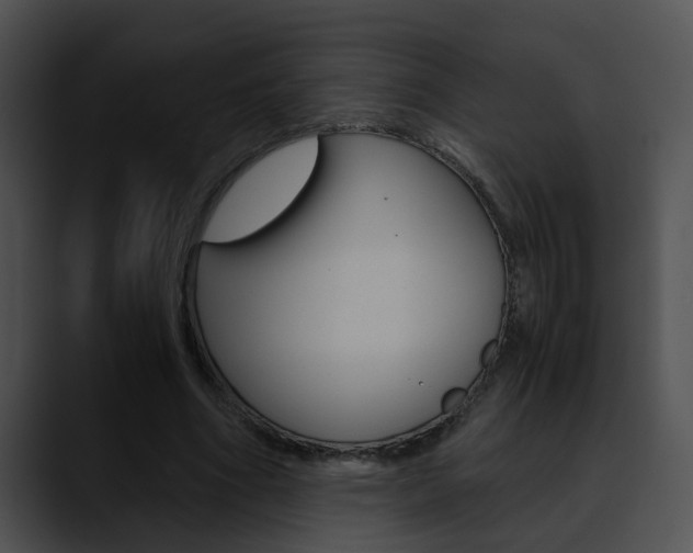 X0000090620586200707171104