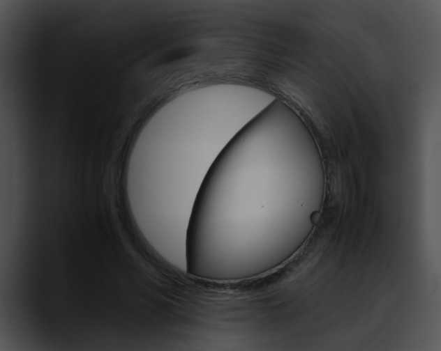 X0000090620590200707171104