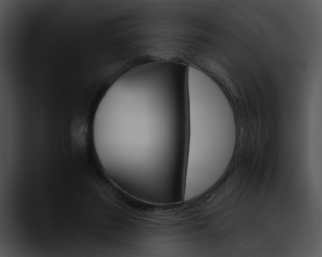 X0000090620596200707171104