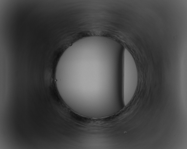 X0000090620599200707171104