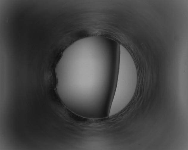 X0000090620601200707171104