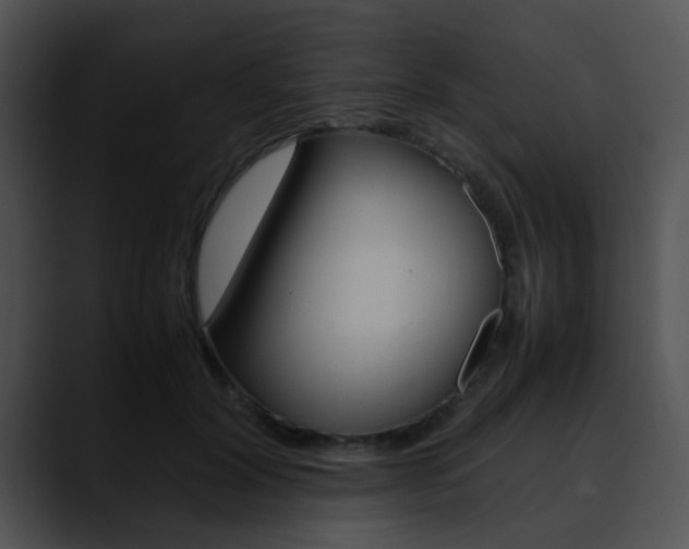 X0000090620604200707171104
