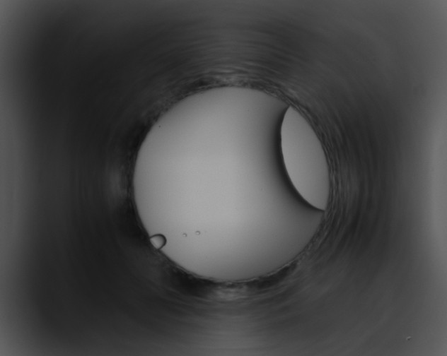 X0000090620606200707171104