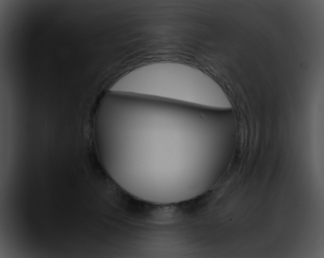 X0000090620609200707171104