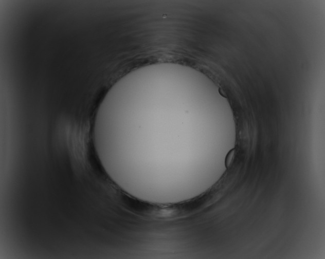 X0000090620610200707171104