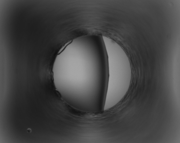 X0000090620613200707171104