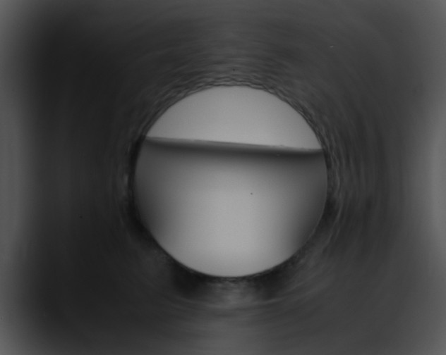 X0000090620615200707171104