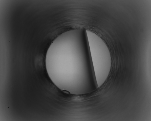 X0000090620616200707171104