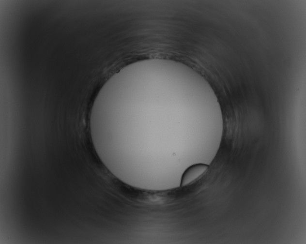 X0000090620618200707171103