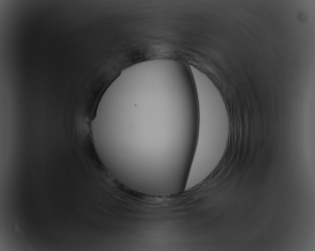 X0000090620621200707171103