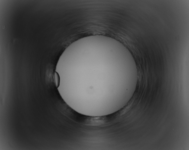 X0000090620622200707171103