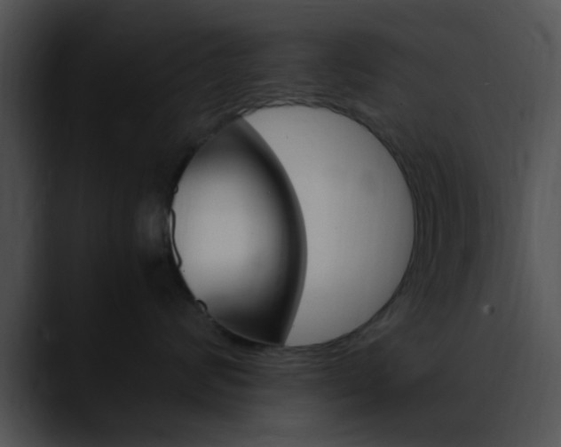 X0000090620624200707171103