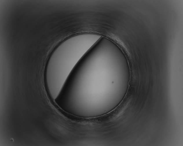 X0000090620625200707171103