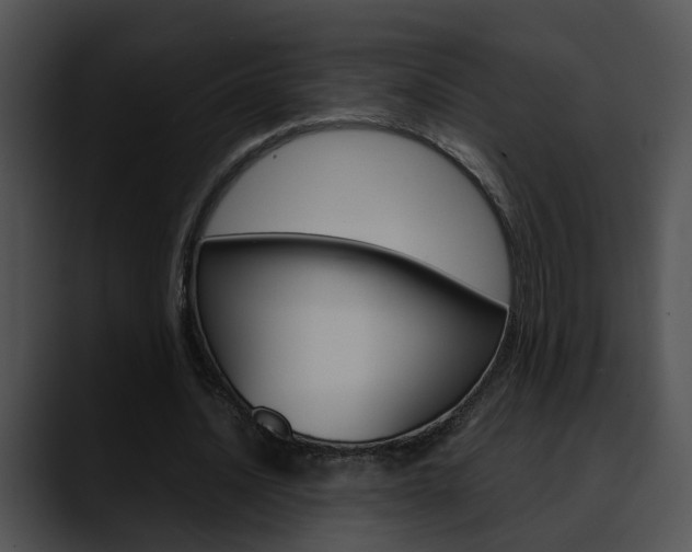 X0000090620628200707171103