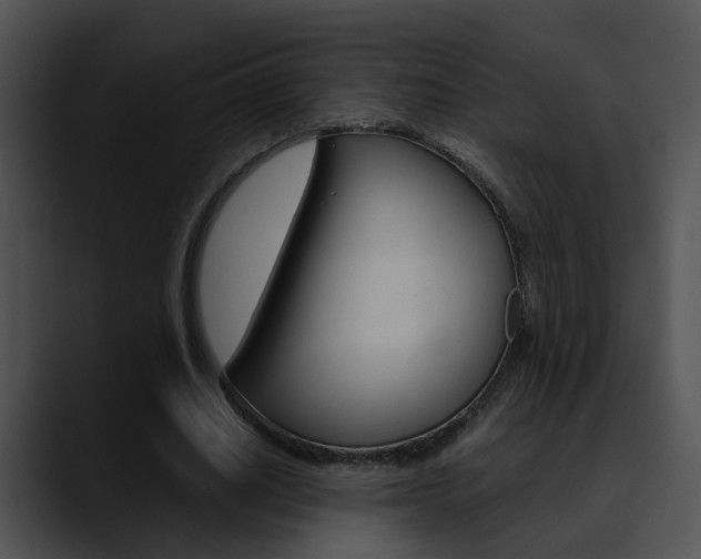 X0000090620630200707171103