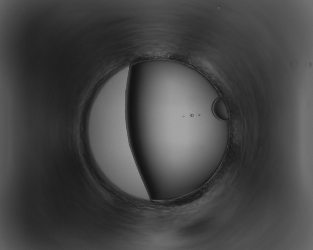 X0000090620634200707171103
