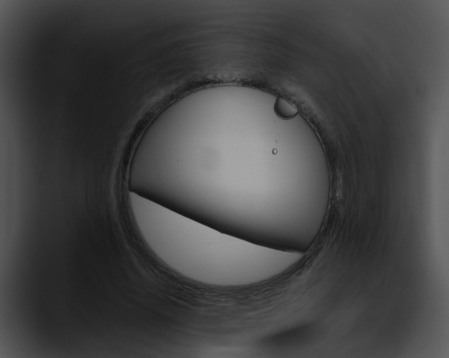X0000090620636200707171103