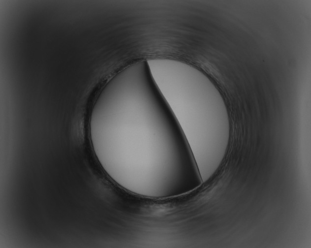 X0000090620638200707171103