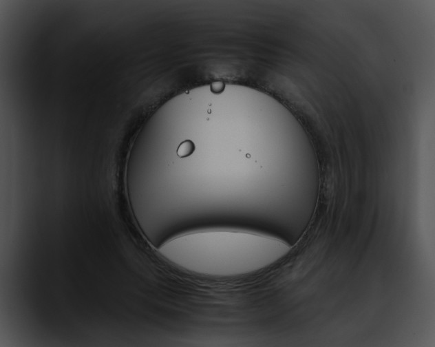 X0000090620639200707171103