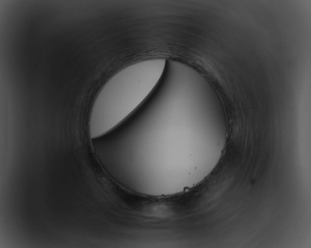 X0000090620643200707171103