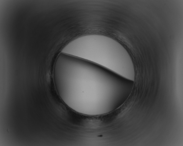X0000090620644200707171103