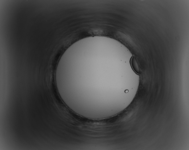 X0000090620645200707171103