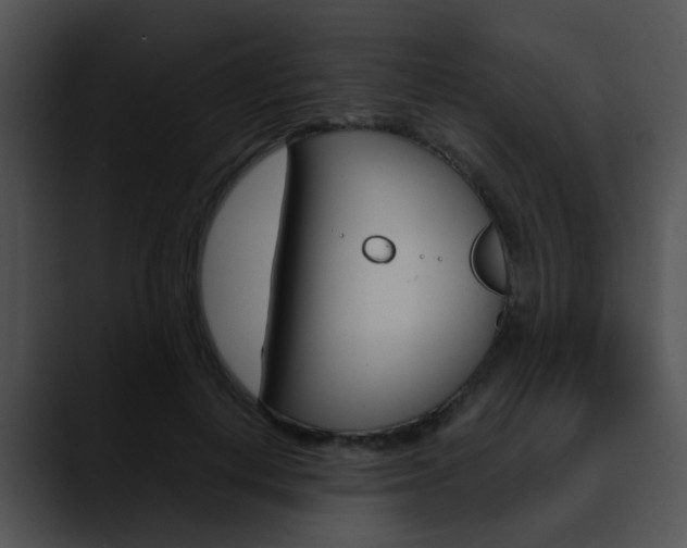 X0000090620648200707171103